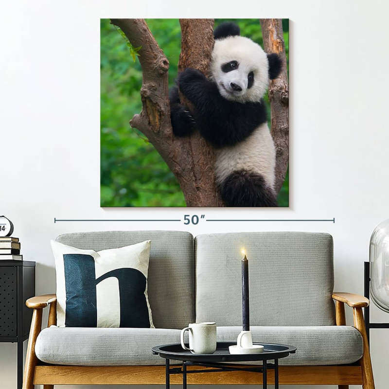 Brampt Adorable Panda, 33" H x 33" W