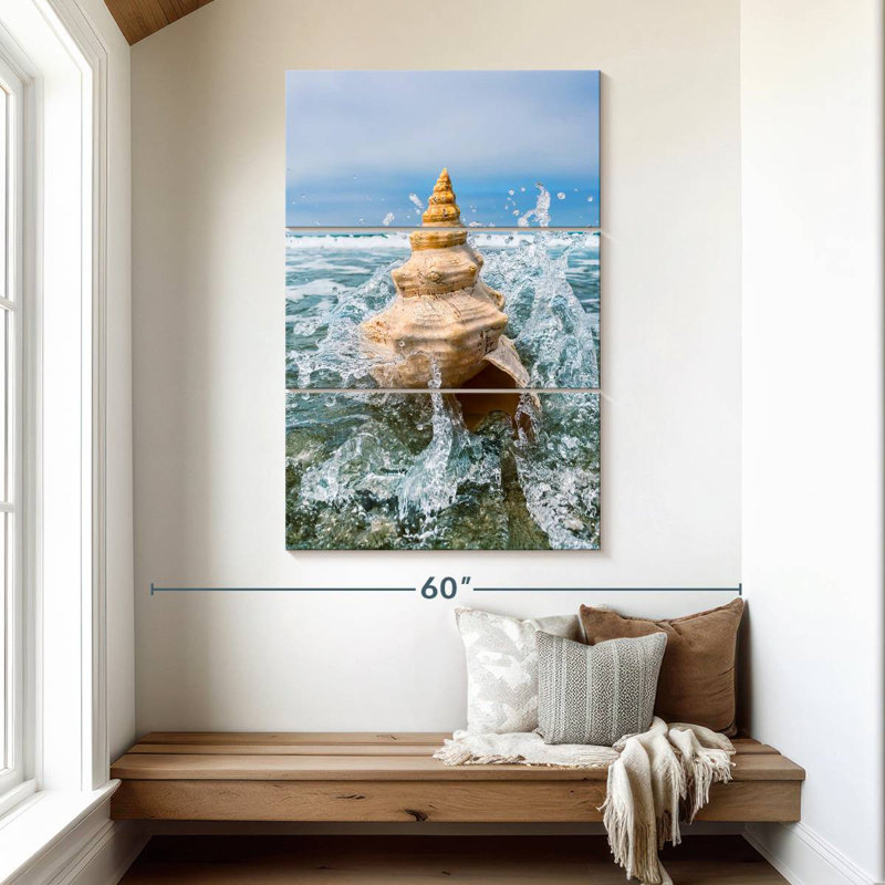 Coquillage Aletra