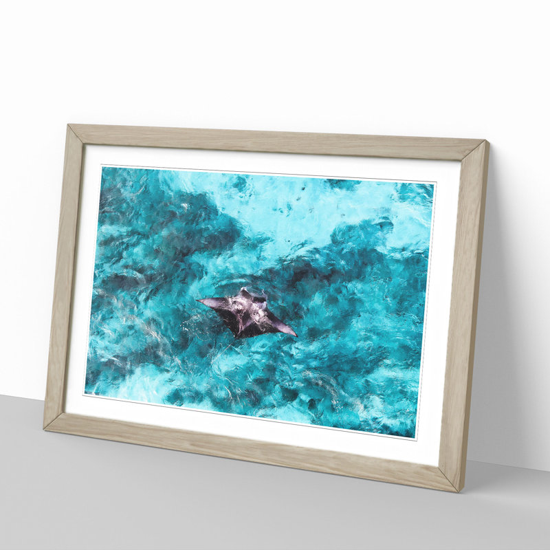 Manta Ray - Picture Frame Painting, Oak Framed, 27cm H x 36cm W x 2cm D