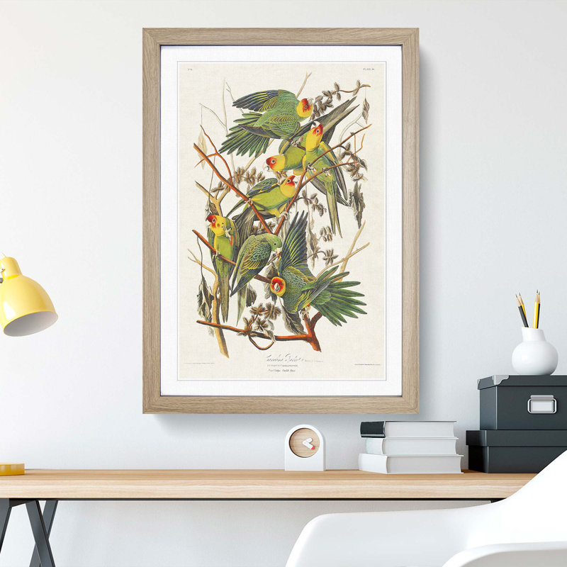 Carolina Parrots by John Audubon - Picture Frame Painting Print, Oak Framed, 65cm H x 48cm W x 2cm D
