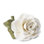 Porcelain Rose