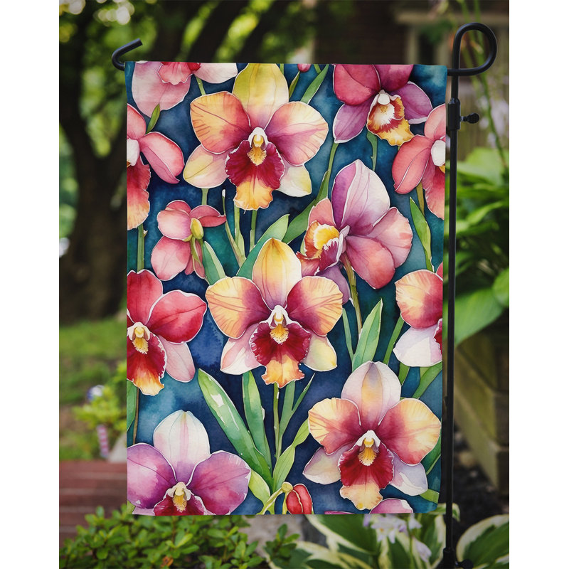 Orchidées paphiopedilum, drapeau du jardin, Orchidées Miltoniopsis