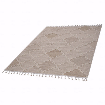 Trellis Indoor/Outdoor Area Rug