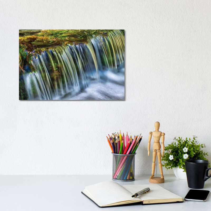 Fern Spring by Zoe Schumacher - Wrapped Canvas Print, 20.32 cm H x 30.48 cm W