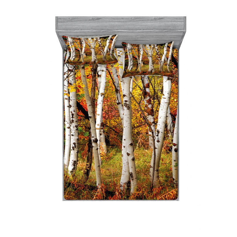 Ensemble de literie pour feuilles d’automne bouleau chutes tree, Ensemble de drap pour grand lit avec drap-housse