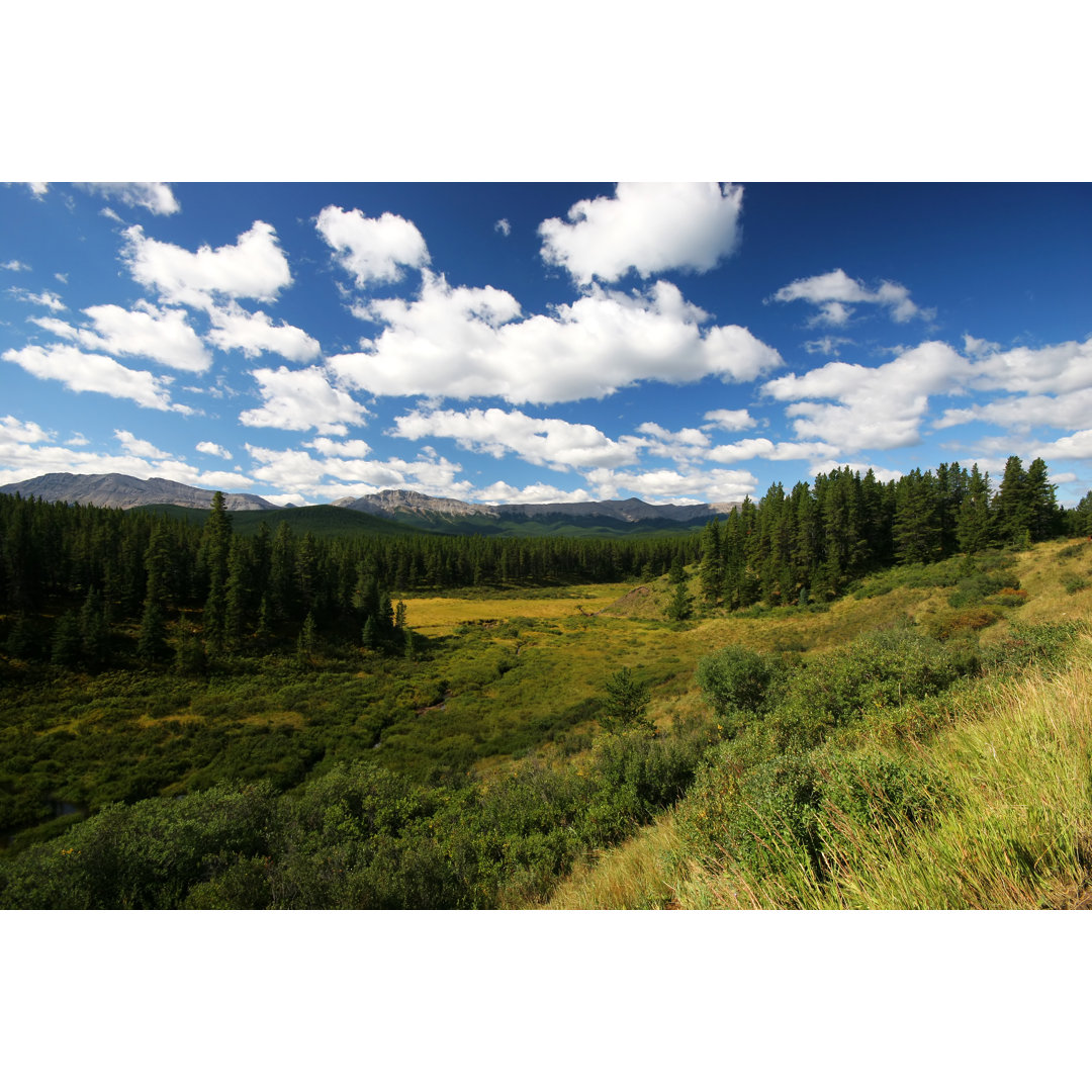 Mountain Meadow von Wolv - Kunstdrucke auf Leinwand