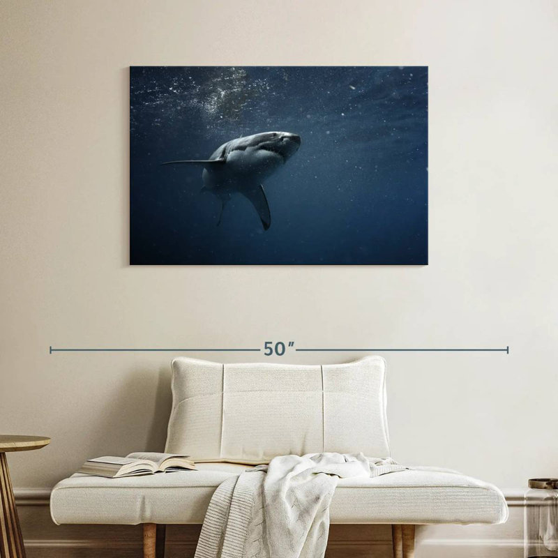 Grand requin blanc Brampt, H 26 po x l 39 po