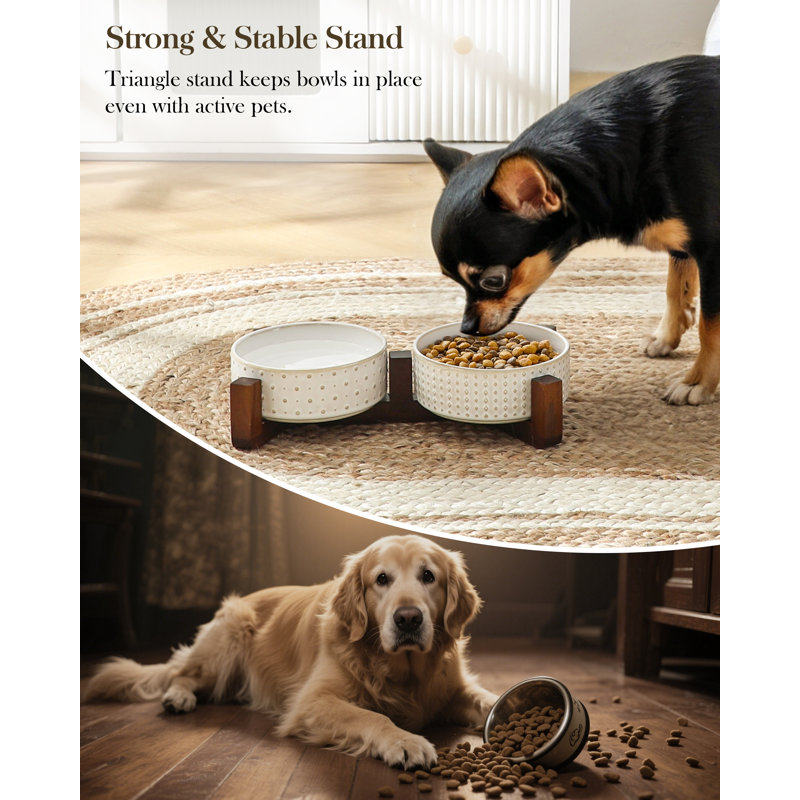 Rhombus & Dot Embossed Pattern Anti-skid Stoneware Elevated Feeder, 480ml