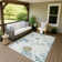 Machine Washable Indoor/Outdoor Oliveras ACN2263 Floral Rug