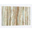 «Birch Bark», reproduction d'impression sur toile tendue-32433432-72079879-72079885