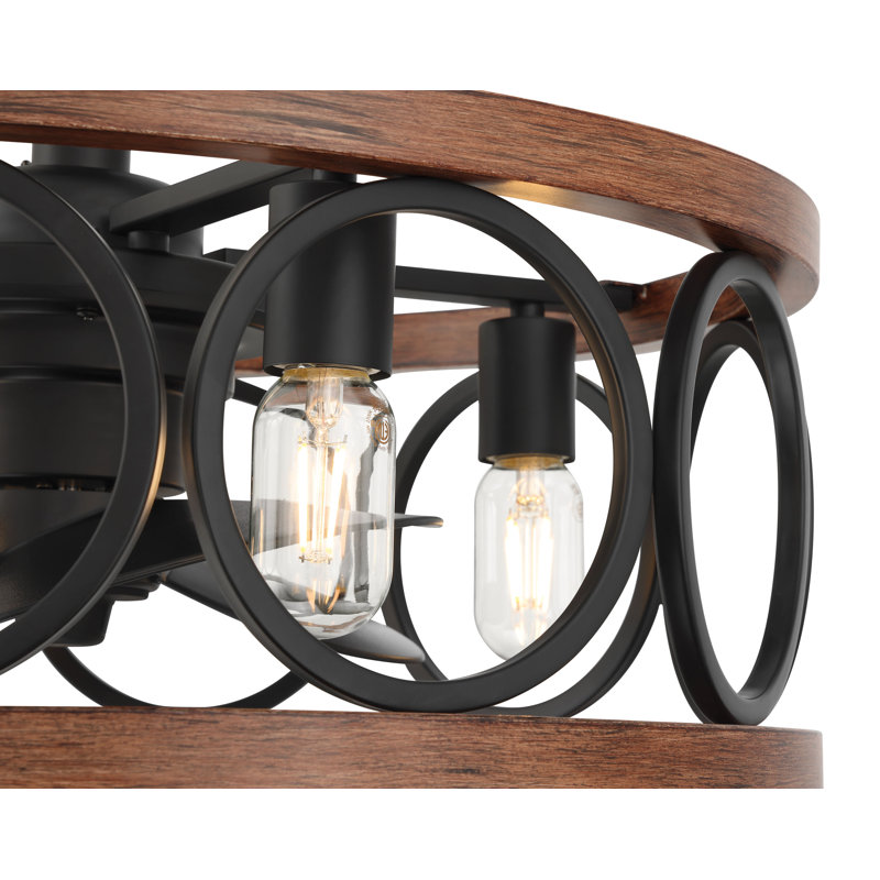 Hunter 22 inch Haven Fandelier Ceiling Fan with Light Kit and Handheld Remote, Matte Black, Matte Black