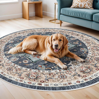 Washable Oriental Area Rug - Rugs for Living Room Soft Carpet for Bedroom Waterproof Floral Distressed Indoor Stain Resistant Non-Shedding Floor Carpets (Blue/Teal/Orange)