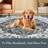 Vintage Machine Washable Bedroom Rug, Non-Slip Non-Shedding Low-Pile Dining Room Rug, Soft Rug for Living Room-1406753364