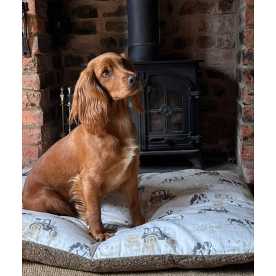 Dardel Pet Bed Cushion