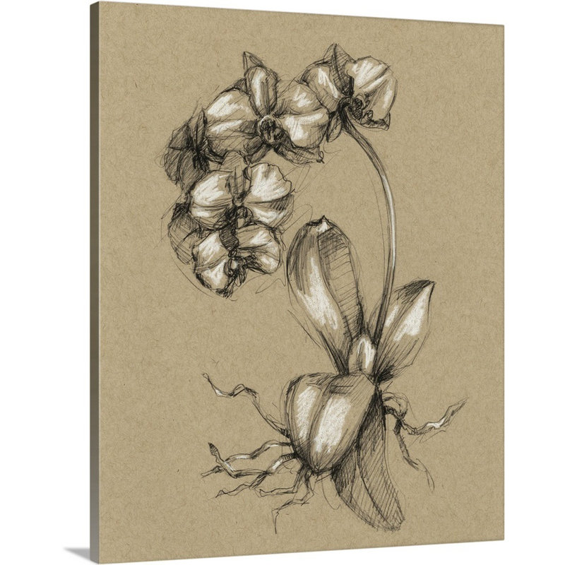 Art mural sur toile B et botanique, Toile tendue, H 30 po x l 24 po x P 1 po