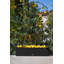 Block Series Window Box Planter-86627774