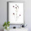 Pressed Botanical II par J Paul - reproduction d'art sur papier encadrée-2077259070-2077259069