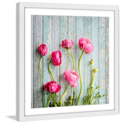 Sylvia Cook - Single Picture Frame Print