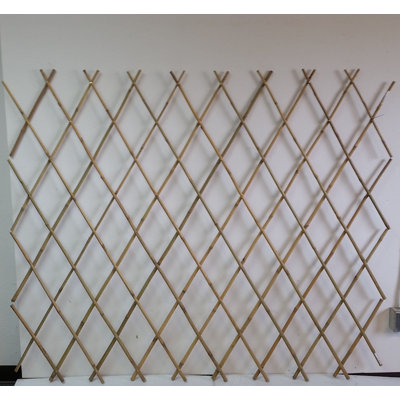 72'' W Wood Expanding Trellis