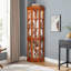Corner Curio Cabinet With 5 Shelves And Lighting System(E26 Light Bulb Not Included)