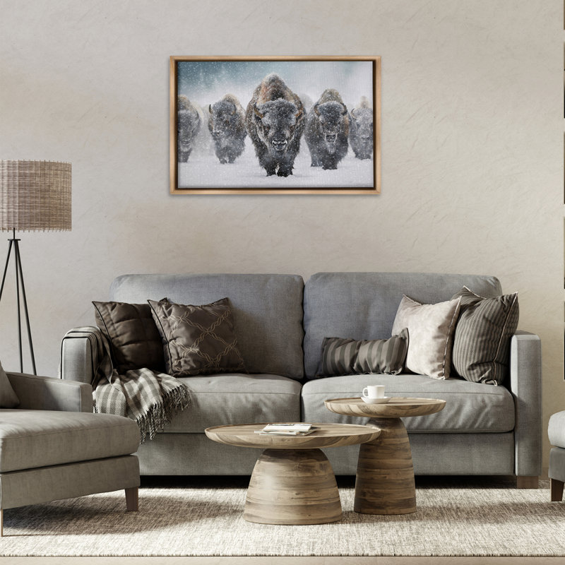 «Indomitable Bison in Snow Brown», toile flottante encadrée par Mark Kelso, Cadre flottant orme Montalcino, H 21 po x l 31 po
