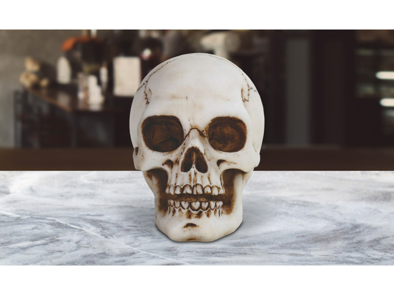 Jocimar 3.25"W Skull Head Figurine Unique Gifts
