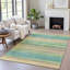 Machine Washable Indoor/Outdoor Xhevrie Aloe Rug-112168789