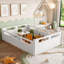 Lit plateforme double pleine grandeur de style moderne de style blanc avec garde-corps pleine longueur, sans sommier tapissier-129463302-129463303