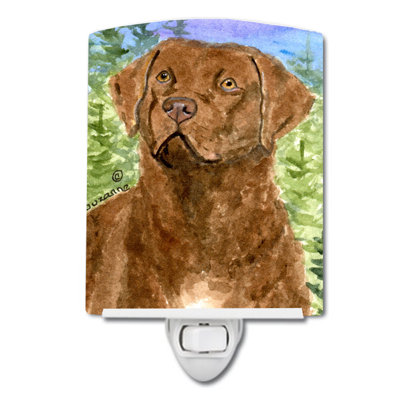 Éclairage de nuit en céramique chesapeake bay retriever