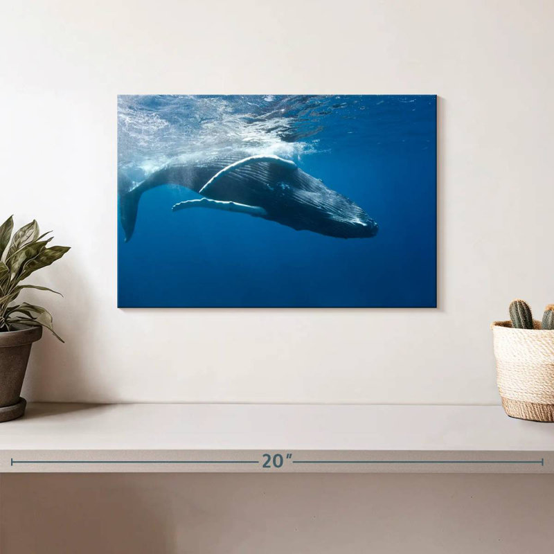 Brampt Humpback Whale, 8" H x 12" W