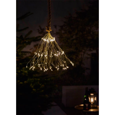 Caisley LED Outdoor Pendant