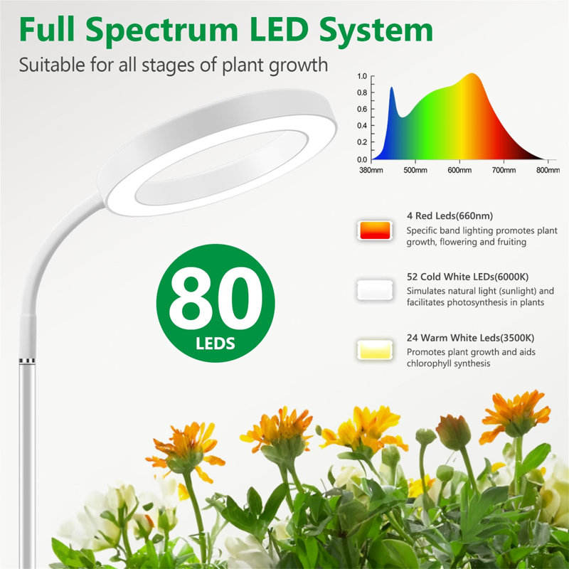 Naomi Grow Light