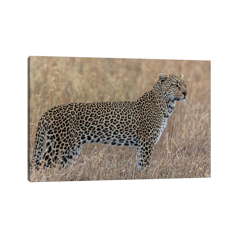 Hunting by Anders Jorulf - Wrapped Canvas Gallery-Wrapped Canvas Giclée, 66.04 cm H x 45.72 cm W x 1.91 cm D