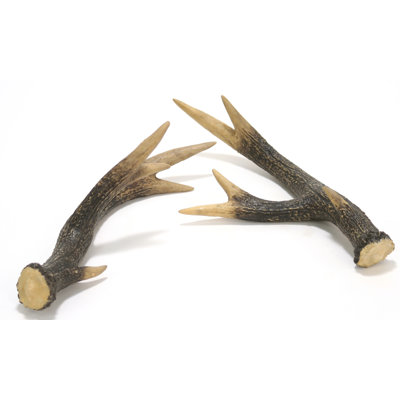 Ensemble de 2 branches de pin artificielles