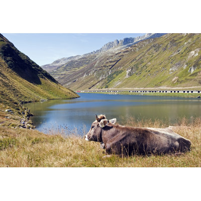 Happy Cow by LucynaKoch - No Frame Art Prints on Canvas
