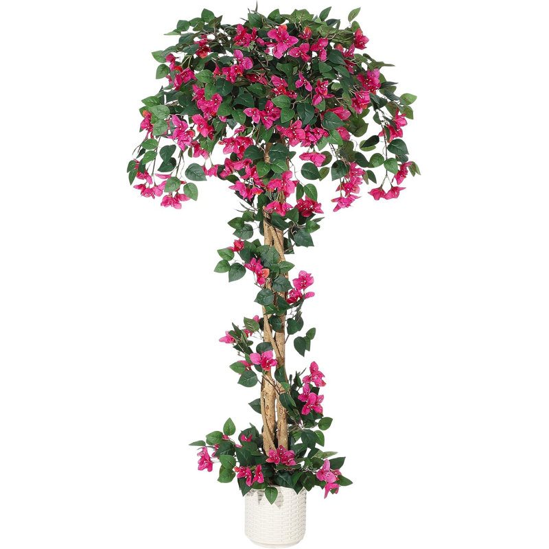 152cm Plant