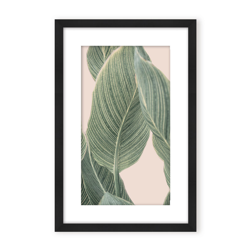 Coastal Retreat Calla Leaf by  - Picture Frame Graphic Art on Paper, Framed Canvas, Brown, 48" H x 32" W x 2.375" D