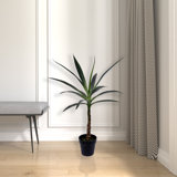 Artificial Green Yucca Tree