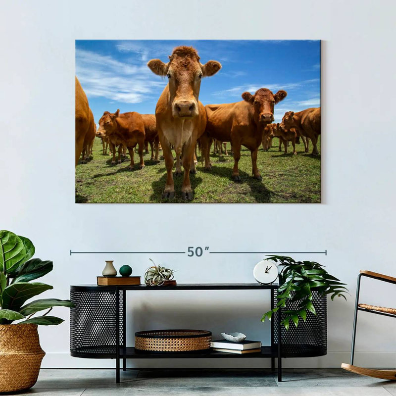 Crowle Gathering Beef Cattle, 32" H x 48" W
