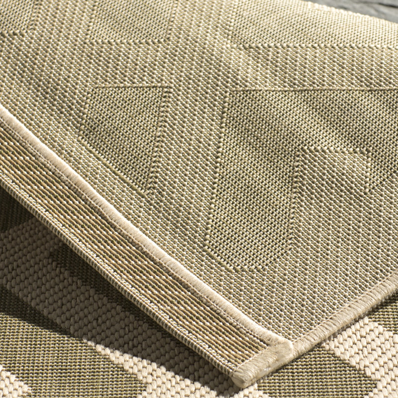 Tapis intérieur / extérieur vert / os Arneshia, Rectangle 4 pi x 5 pi 7 po
