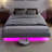Floating Bed Frame with LED Lights, Modern Bed Frame with Storage Space, Platform Bed Frame, Easy to Assemble-221637557