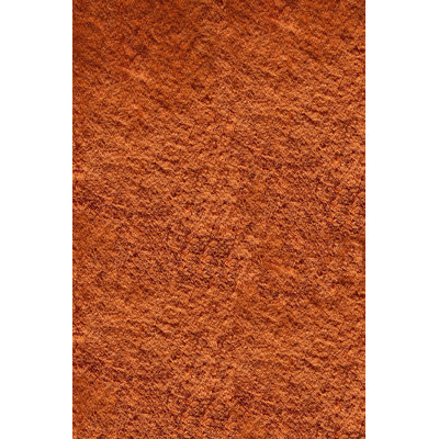 Cherree Indoor Rug