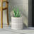 Mgo Planter-1525682594