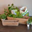 Pot à fleurs en bois Jadiana