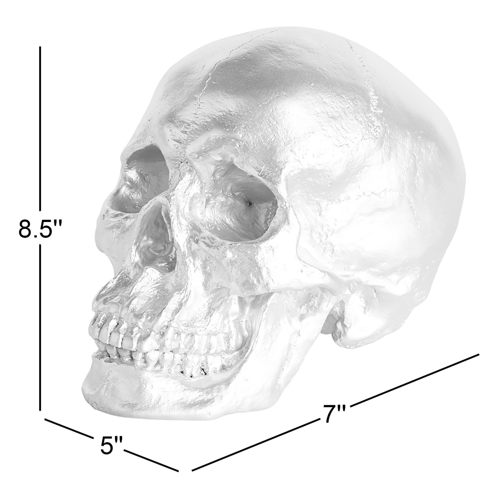 Muscogee Faux Human Skull Holiday Figurine, Black