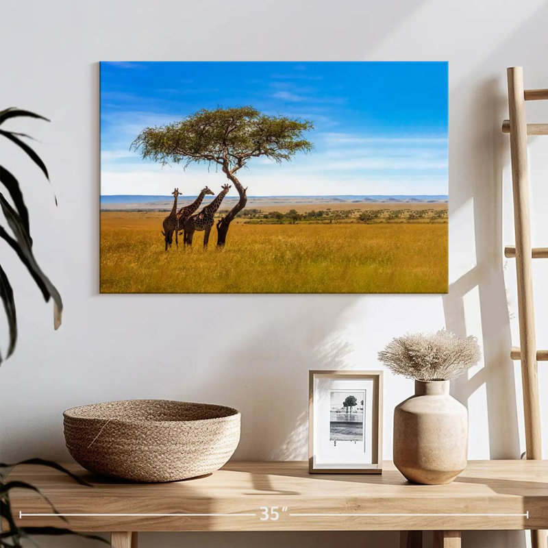 African Savanna Giraffes, H 16 po x l 24 po
