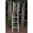 Archbald 5.9 ft Blanket Ladder-574168715