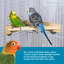 One-of-a-Kind 1.5'' Bird Perch for Inside Cage