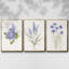 Ensemble de 3 cadres flottants sur toile-97754218-97754220
