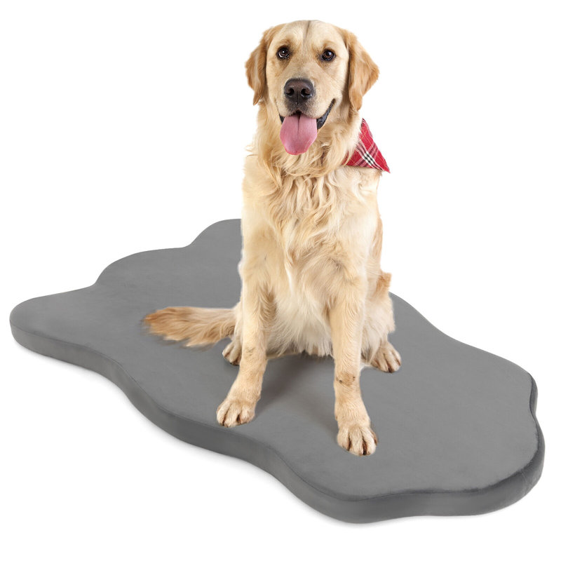 Edil Orthopedic Polyester Pet Bed, Gray